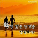 시작