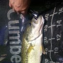 안동호민박 이미지