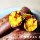 춘자농장 이미지