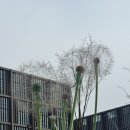 김준농장 | 마곡 서울식물원 | 나들이 하기 좋은 장소 추천