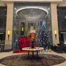 터미날21 | 태국신혼여행숙소 방콕 그랜드센터포인트호텔 터미널21 디럭스 프리미엄룸 후기