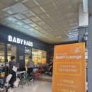 현대영통서비스㈜ | 영통베이비하우스 아기띠 후기 포브 프라이빗 에어