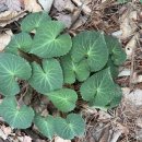 고천체육공원 다목적체육관 이미지