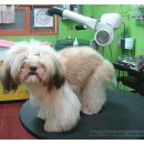 라미펫살롱 이미지