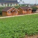 압해도용마을 이미지