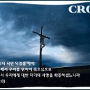 보라피아노 이미지