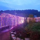 도덕1리 이미지