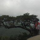 (주)사계절 Daum카페