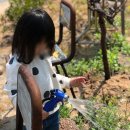 중앙농약농자재마트 이미지