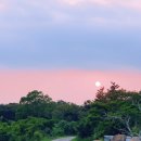 농부와돌집민박 이미지