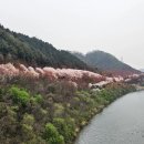 스파펜션링스 이미지