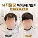 이란헤어 - 서구 | M자탈모 남자 헤어증모술 전문점 라본헤어 방문 후기 (분당 부산 지점 안내)