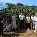 늘푸름목장 이미지