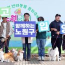 놀러오시개 이미지