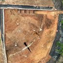 송학동-10 이미지