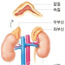 부평식품 이미지