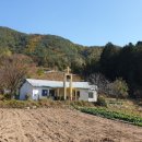 괴목주유소 네이버블로그