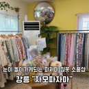 자모 | 강릉에서 발견한 숨은 잠옷 소품샵, 자모파자마 내돈내산 후기