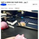 수상한누나네