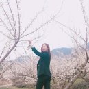 지에스25광양매화 이미지