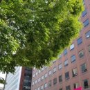 SLB도시락 이미지