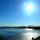 토황민박 이미지