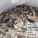 청정바다젓갈 이미지