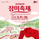(주)골든아워이피티씨 | 2025년 울산대공원 장미축제 완벽 가이드: 일정부터 꿀팁까지 한번에!