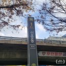 신중동역 1번출구 | [경기 부천]신중동 스몰웨딩, 송년회 등 뷔페 맛있는 부천 돌잔치 전문 블루미 파티하우스 후기