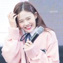 비타민팡팡