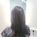 케이파마 | 정관 미용실 살롱드케이 레이어드 컷 c컬 세팅 파마