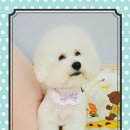 까까멍 이미지