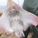 유튜브영상제작과정 이미지