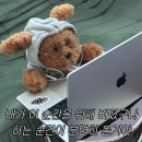 해피데이 이미지