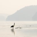 2019평창동계올림픽기념공원 네이버블로그