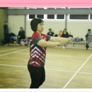 미르체육관 이미지