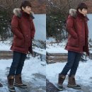 플라잉독 이미지