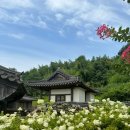 생태습지 이미지