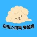 마마스미독 펫살롱 대전점 이미지