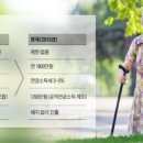 머스트 해브(MUST HAVE)