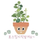 백사장어시장 이미지