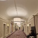 세기자동차써비스 | ✈️ 워싱턴 D.C. 자유여행 마지막편 | 19세기 건물 Kimpton Hotel Monaco 후기