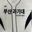 미음야구장 티스토리