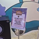 화도맨션 | 잠실 포켓몬 팝업 '메타몽의 시크릿 캡슐멘션' 후기 (분노주의)