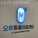 지축오투동물의료센터 이미지