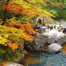 강릉 오대산 소금강계곡 ‘작은 금강산’이라고 불리는 이유 이미지