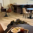 반려담 | 주차 가능한 강남 카페 카페담 반려동물 동반 가능