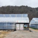 킴스베리 이미지