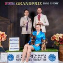 Marilovelle 네이버블로그