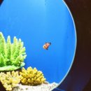 프로텍 앞 이미지